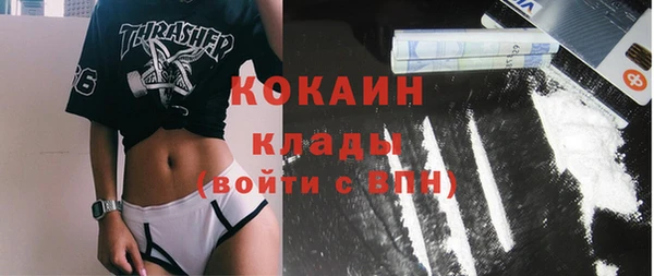 гашиш Богданович