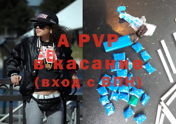 гашиш Богданович