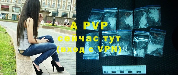 гашиш Богданович