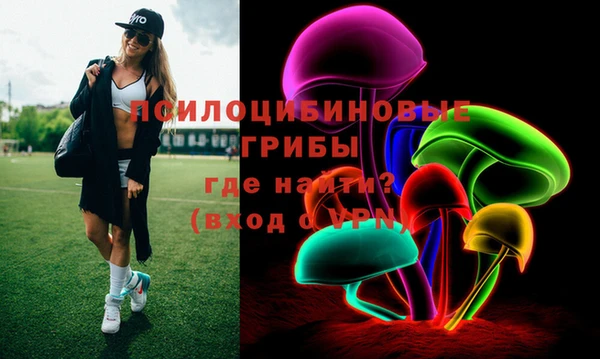 a pvp Богородицк