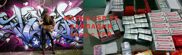 гашиш Богданович