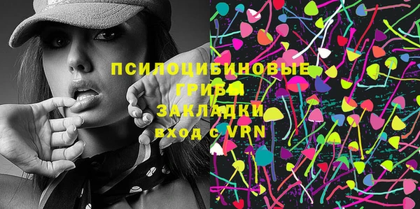 ГАЛЛЮЦИНОГЕННЫЕ ГРИБЫ Богородск