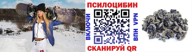Галлюциногенные грибы GOLDEN TEACHER  купить  сайты  Плёс 